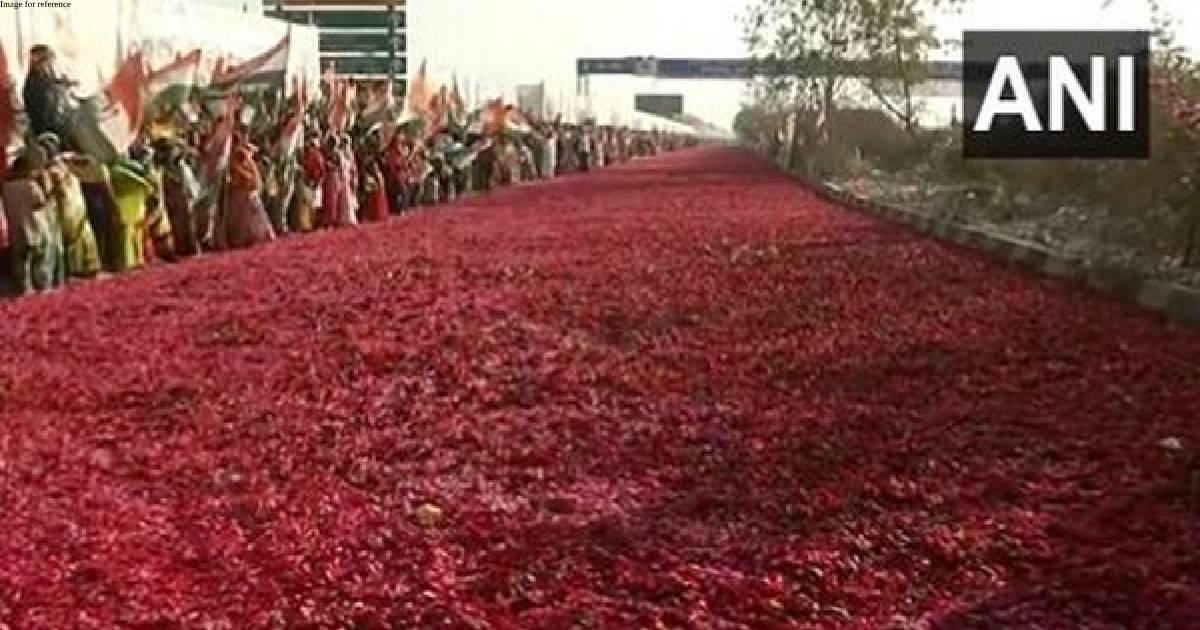 Congress plenary session: Street paved with flower petals to welcome Priyanka Gandhi in Raipur